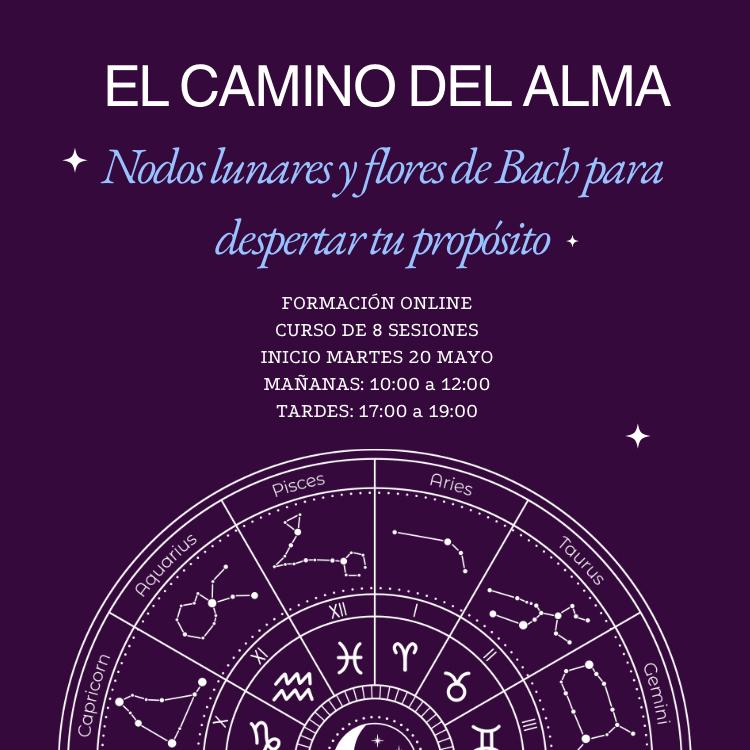 Nodos lunares